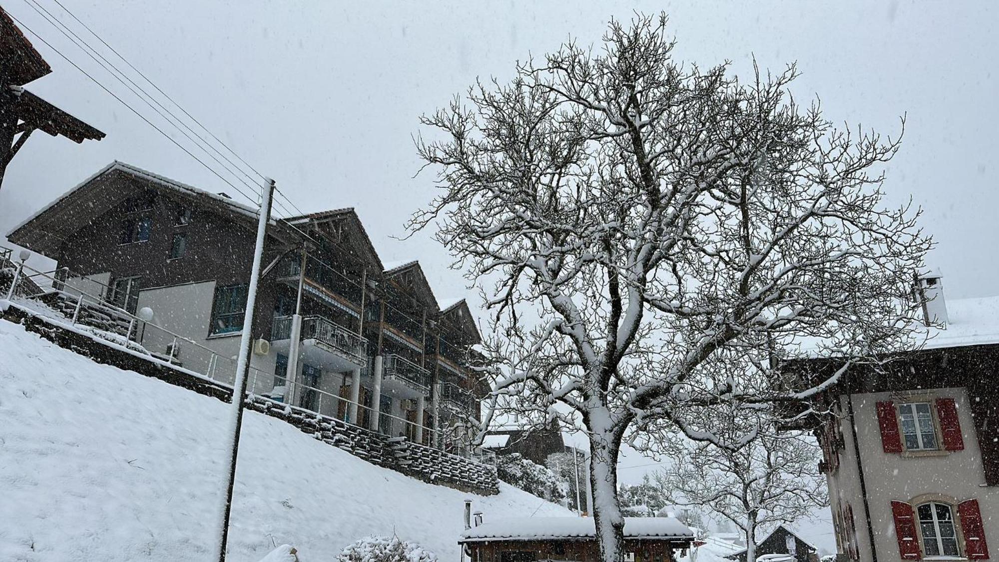 Lake View Residence Niederried bei Interlaken Esterno foto